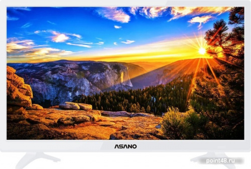Купить ЖК-Телевизор Asano 24LH1011T диагональ 23.6 (60 см), разрешение 720p HD, цвет корпуса белый в Липецке