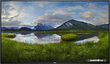 Купить Монитор Dell 54 C5519Q черный IPS LED 8ms 16:9 HDMI матовая 4000:1 350cd 178гр/178гр 3840x2160 D-Sub DisplayPort Ultra HD USB в Липецке
