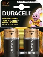Купить Батарея Duracell Basic LR20-2BL MN1300 D (2шт) в Липецке