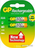 Купить Аккумуляторы GP AAA 650mAh 2 шт. [65AAAHC] в Липецке