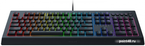 Купить Клавиатура Razer Cynosa v2 в Липецке фото 2