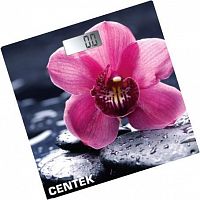 Купить Напольные весы CENTEK CT-2421 (цветок) в Липецке