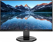 Купить Монитор LCD 25 IPS 252B9 PHILIPS в Липецке