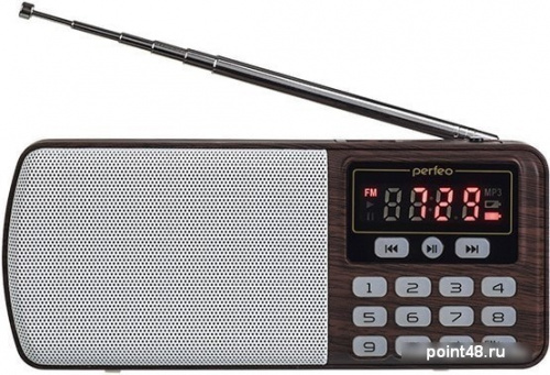 Купить Радиоприемник Perfeo Егерь i120-BK в Липецке фото 2