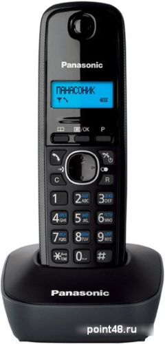 Купить Радиотелефон Panasonic KX-TG1611RUH в Липецке фото 2