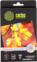 Купить Бумага CACTUS Professional CS-HGA626020, для струйной печати, 260г/м2, 20 листов, 10x15 см в Липецке