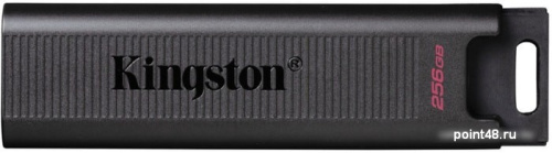 Купить Флеш Диск Kingston 256Gb DataTraveler Type-C Max DTMAX/256GB USB3.2 черный в Липецке