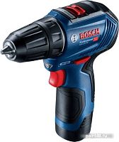 Купить Дрель-шуруповерт Bosch GSR 12V-30 Professional 06019G9000 (с 2-мя АКБ, кейс) в Липецке