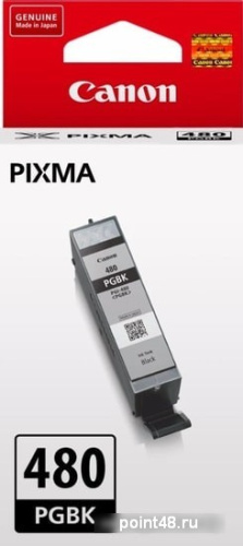 Купить Картридж струйный Canon PGI-480 PGBK 2077C001 черный (11.2мл) для Canon Pixma TS6140/TS8140TS/TS9140/TR7540/TR8540 в Липецке