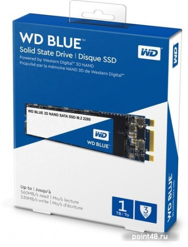 Накопитель SSD WD Original SATA III 1Tb WDS100T2B0B Blue M.2 фото 2