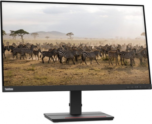 Купить Монитор Lenovo 27  ThinkVision S27e-20 черный IPS 4ms 16:9 HDMI 250cd 178гр/178гр 1920x1080 D-Sub FHD 4.6кг в Липецке фото 2