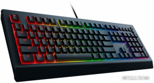 Купить Клавиатура Razer Cynosa v2 в Липецке фото 3