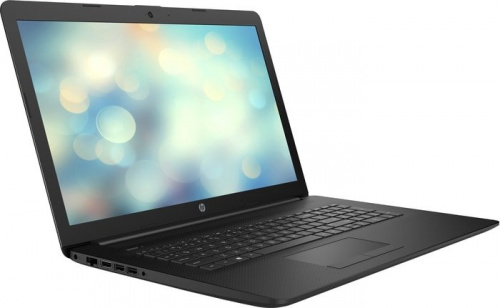 Ноутбук 17.3  HD+ HP 17-ca2041ur black (AMD Ryzen 3 3250U/4Gb/256Gb SSD/noDVD/VGA int/W10) (22Q80EA) в Липецке фото 2