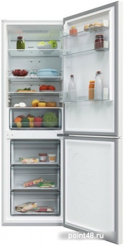 Холодильник Candy CCRN 6180W белый (двухкамерный) в Липецке фото 2