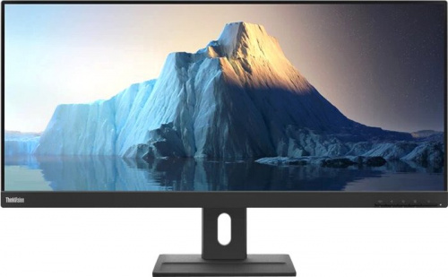 Купить Монитор LCD 29 E29W-20 62CEGAT3EU LENOVO в Липецке