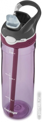 Купить Бутылка Contigo Ashland 0.72л бордовый пластик (2106518) в Липецке фото 2