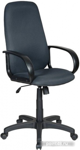 Кресло руководителя Бюрократ CH-808AXSN/TW-12 серый TW-12 ткань крестовина пластиковая