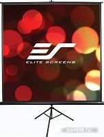 Купить Экран на треноге Elite Screens 152x152см Tripod T85UWS1 1:1 напольный рулонный черный в Липецке