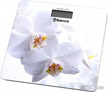 Купить Напольные весы Sakura SA-5065WF в Липецке