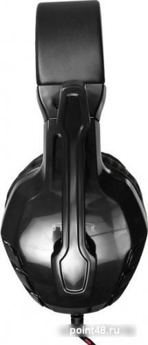 Купить Наушники с микрофоном Oklick HS-L320G черный (2.2м) мониторы (оголовье) в Липецке фото 2