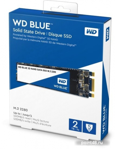 Накопитель SSD WD Original SATA III 2Tb WDS200T2B0B Blue M.2 фото 2