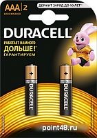 Купить Батарея Duracell Basic CN LR03-2BL MN2400 AAA (2шт) в Липецке