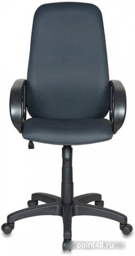 Кресло руководителя Бюрократ CH-808AXSN/TW-12 серый TW-12 ткань крестовина пластиковая фото 2