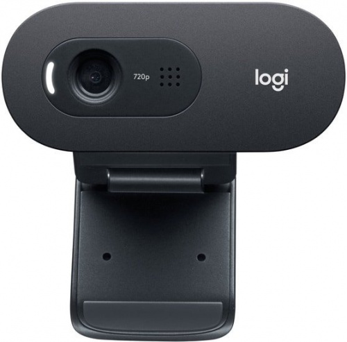 Купить Веб-камера Logitech C505 в Липецке фото 3