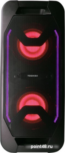 Купить Колонка для вечеринок Toshiba TY-ASC66 в Липецке фото 2