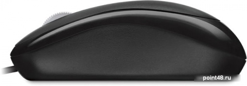 Купить Мышь Microsoft Basic черный оптическая (1000dpi) USB (2but) в Липецке фото 2