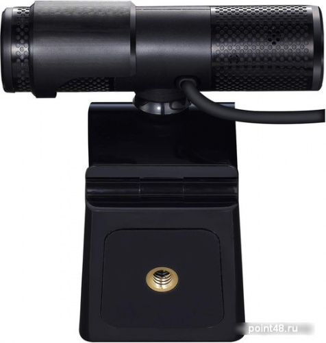 Купить Камера Web Avermedia PW 313 черный 2Mpix USB2.0 с микрофоном в Липецке фото 2