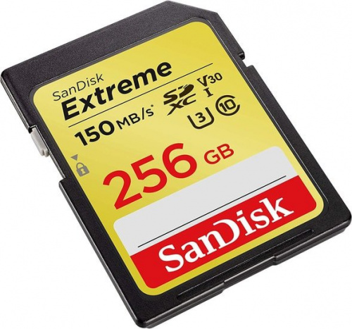 Купить Флеш карта SDXC 256Gb Class10 Sandisk SDSDXV5-256G-GNCIN Extreme в Липецке фото 2