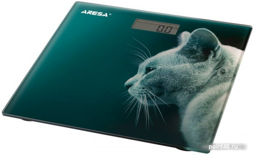 Купить Напольные весы Aresa AR-4412 в Липецке фото 2